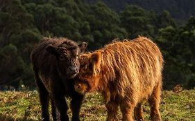Ruby'S Cottage Farm Stay